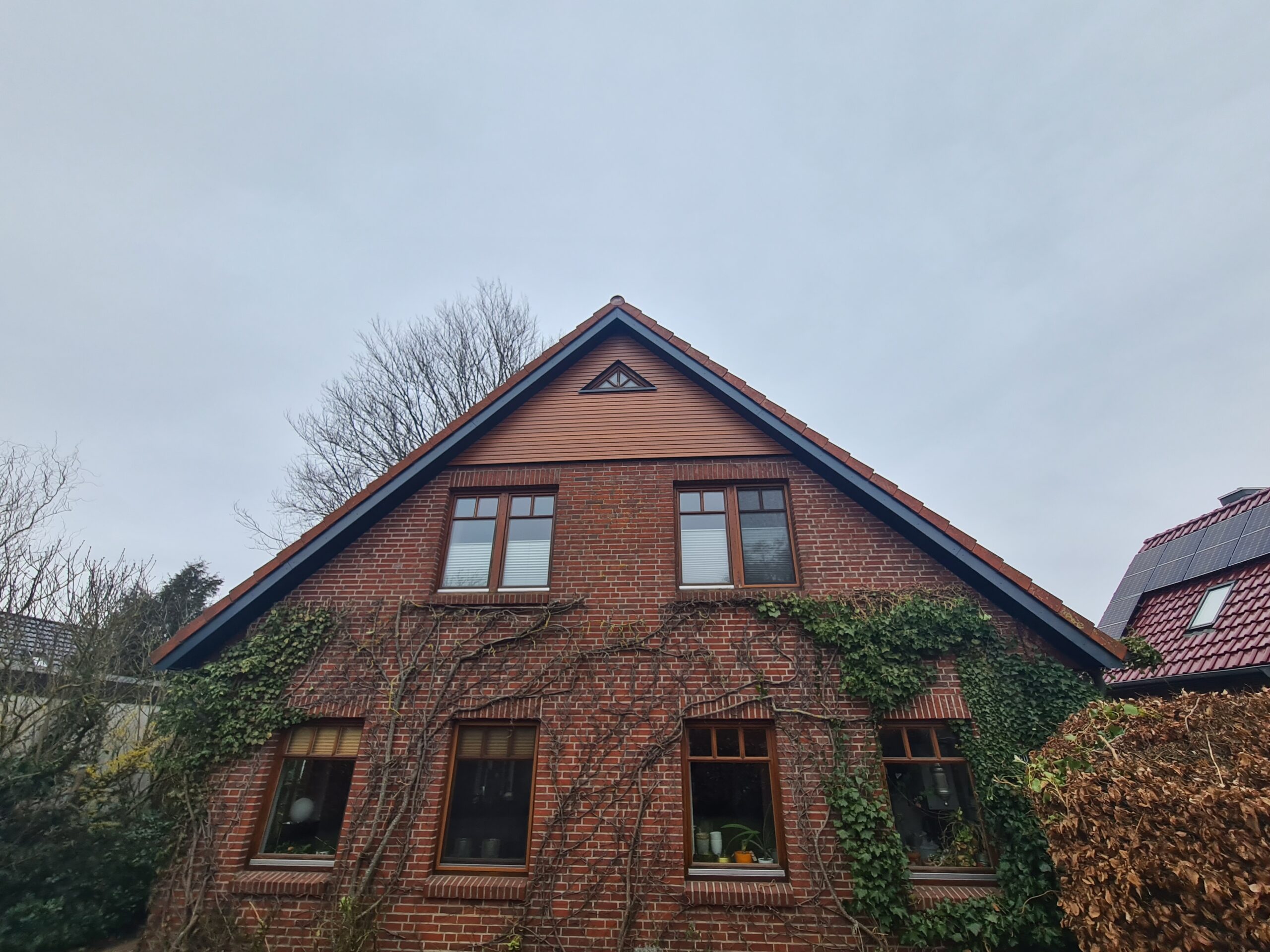 Dachfassade Projekt