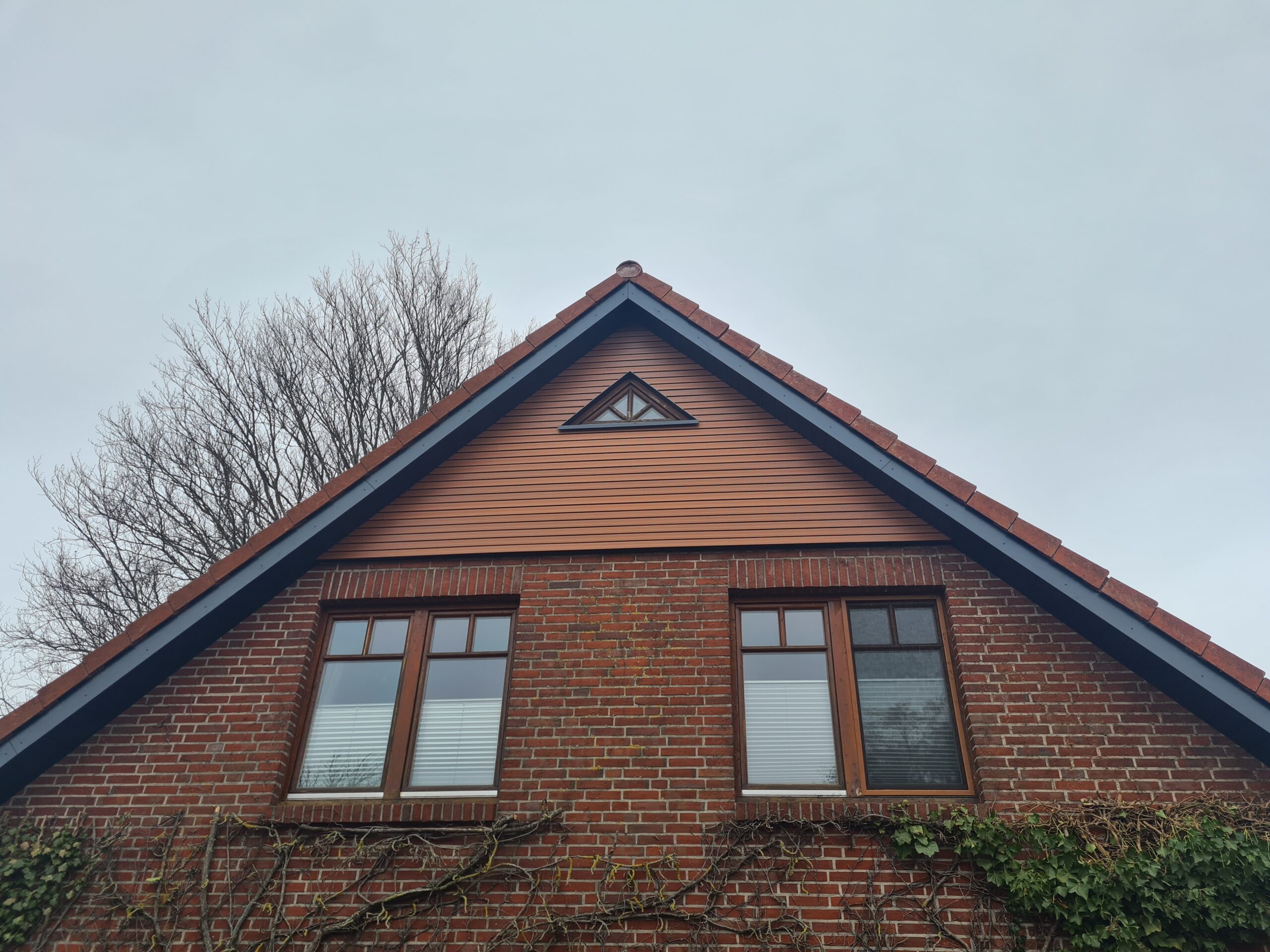 Dachfassade